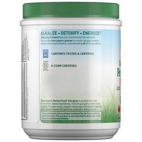 Garden of Life, Raw Organic Perfect Food Energizer, 9.73 Oz