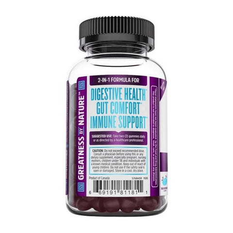 Zhou Nutrition, Gut Guru Probiotic Gummies, 60 Count