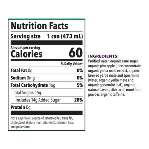 Babe Kombucha, Yerba Mate Pineapple Mint, 16 Oz (Case Of 12)