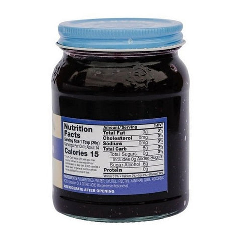 Natures Hollow, Blueberry Sugar Free, 10 Oz (Case Of 6)
