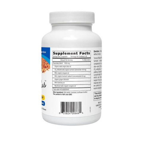 North American Herb & Spice, Turmeric Power Plus Gels, 120 Softgels